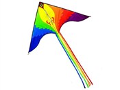 Latawiec -  Książka z wysyłką do Niemiec 