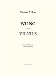 Obrazek Wilno Vilnius