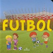 Futbol -  fremdsprachige bücher polnisch 