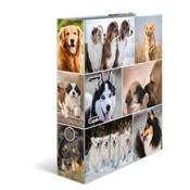 Polska książka : Segregator...