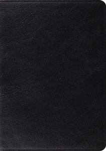 Obrazek ESV Archaeology Study Bible (Black)