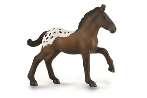 Bild von Źrebię Sugarbush Draft M