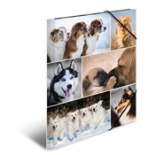 Polnische buch : Teczka A4 ...