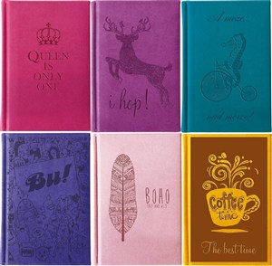 Bild von Notes soft 41N-V MIX Lucrum