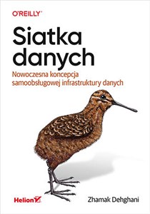 Bild von Siatka danych. Nowoczesna koncepcja samoobsługowej infrastruktury danych