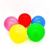 Polnische buch : Piłka kolc...