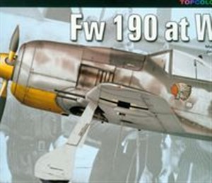 Bild von FW 190 at War Part I
