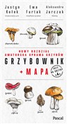Grzybownik... - Justyn Kołek, Ewa Furtak, Aleksandra Jarczok - buch auf polnisch 