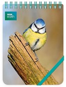 Kołonotes ... -  polnische Bücher