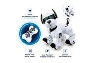 Bild von Robopies