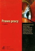 Polnische buch : Prawo prac...