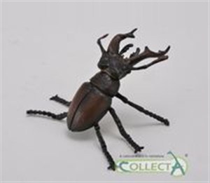 Obrazek Jelonek rogacz