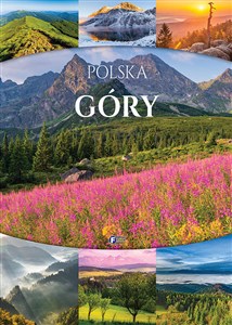 Bild von Polska. Góry
