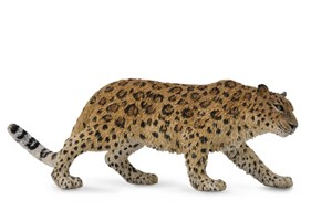 Obrazek Lampart amurski