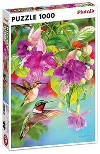 Bild von Puzzle 1000 Kolibry