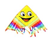 Polska książka : Latawiec