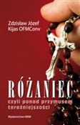 Polnische buch : Różaniec - Zdzisław Józef Kijas