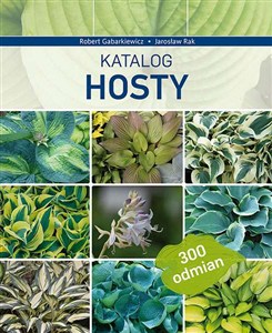 Bild von Katalog Hosty