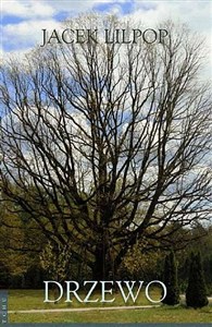 Bild von Drzewo