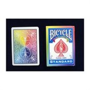 Polska książka : Bicycle Ra...