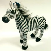 Zebra 30cm... -  Polnische Buchandlung 