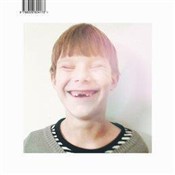 Drony - buch auf polnisch 