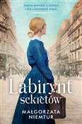 Labirynt s... - Małgorzata Niemtur - Ksiegarnia w niemczech
