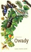 Owady Flor... - Gottfried Amann -  Książka z wysyłką do Niemiec 