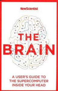 Bild von The Brain