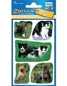 Polska książka : Naklejki p...