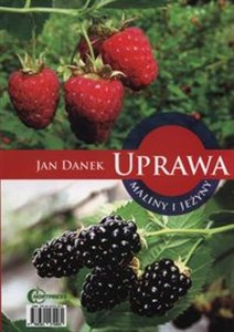 Bild von Uprawa maliny i jeżyny