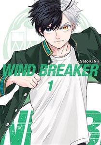 Bild von Wind Breaker. Tom 1