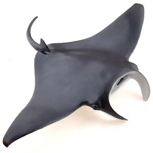 Obrazek Manta