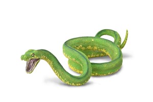 Obrazek Pyton zielony