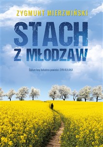 Obrazek Stach z Młodzaw