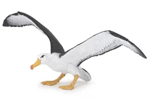 Bild von Albatros
