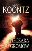 Polnische buch : Pieczara G... - Dean Koontz