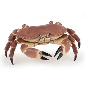 Bild von Krab
