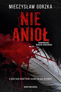 Obrazek Nie Anioł