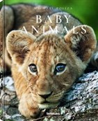 Baby Anima... - Michael Poliza - Ksiegarnia w niemczech