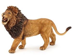 Obrazek Lew ryczący