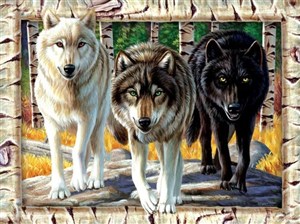 Bild von Puzzle 1000 Wilki
