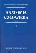 Zobacz : Anatomia c... - Adam Bochenek, Michał Reicher