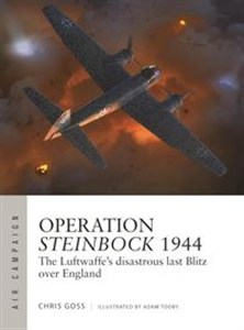 Obrazek Air Campaign 52 Operation Steinbock 1944