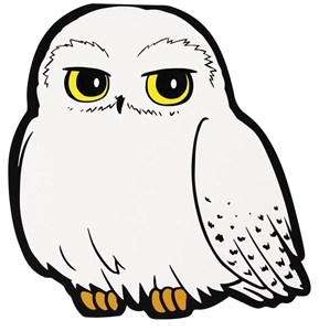 Obrazek Harry Potter Notes - Hedwiga