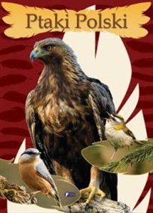 Obrazek Ptaki Polski
