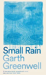 Obrazek Small Rain