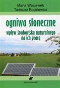 Zobacz : Ogniwa sło... - Maria Wacławek, Tadeusz Rodziewicz