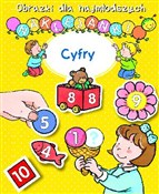 Cyfry - Nathalie Belineau -  Polnische Buchandlung 