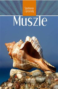 Obrazek Muszle